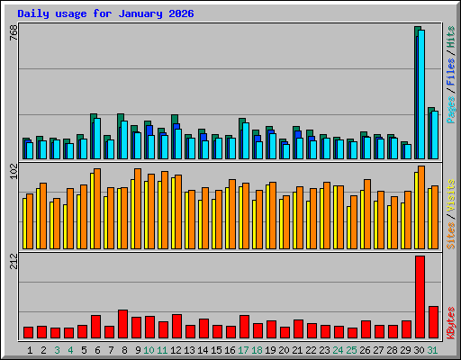 Daily usage for January 2026