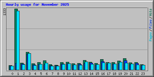 Hourly usage for November 2025