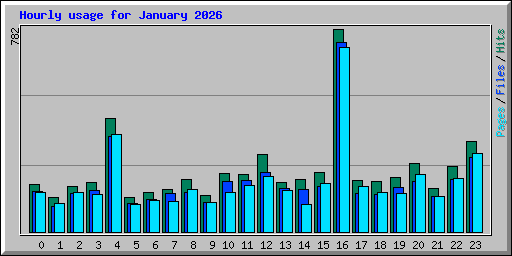 Hourly usage for January 2026